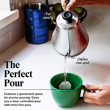 Gooseneck Electric Kettle with Temp Control - 1L Stainless Steel