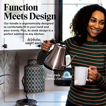 Gooseneck Electric Kettle with Temp Control - 1L Stainless Steel