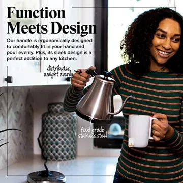 Gooseneck Electric Kettle with Temp Control - 1L Stainless Steel