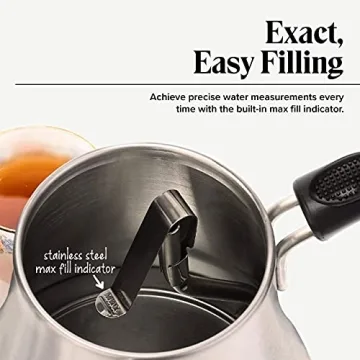 Gooseneck Electric Kettle with Temp Control - 1L Stainless Steel