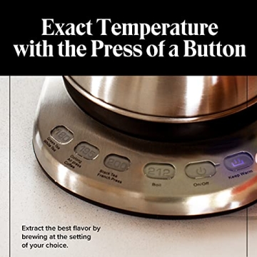 Gooseneck Electric Kettle with Temp Control - 1L Stainless Steel