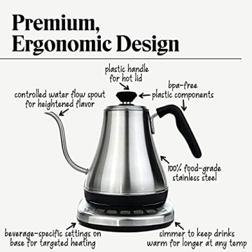 Gooseneck Electric Kettle with Temp Control - 1L Stainless Steel