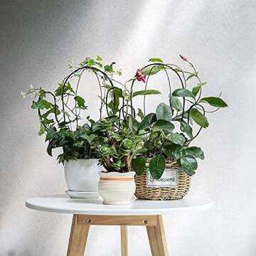 Hin Green Cute Cactus-Shaped Garden Metal Trellis