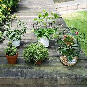 Hin Green Cute Cactus-Shaped Garden Metal Trellis