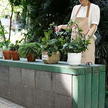 Hin Green Cute Cactus-Shaped Garden Metal Trellis