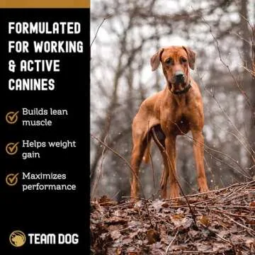 High Protein Salmon & Herring Dog Food - 15 lb Dry