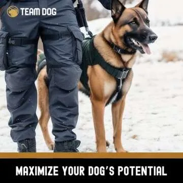 High Protein Salmon & Herring Dog Food - 15 lb Dry