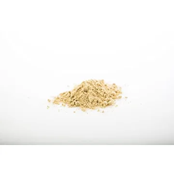 Sun Potion Reishi Mushroom Powder - Organic 100g