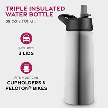 FineDine Triple Walled, Insulated Water Bottles with Straw - 25 Oz Stainless Steel Metal Bottle W/ 3...