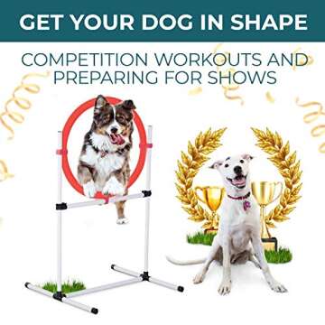 CHEERING PET Dog Agility Training Equipment for All Dogs