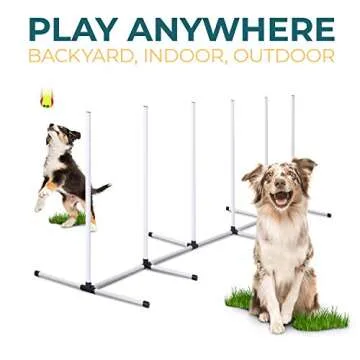 CHEERING PET Dog Agility Training Equipment for All Dogs