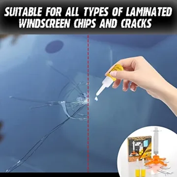 WD-40 Windshield Repair Kit for Quick Chip Repair
