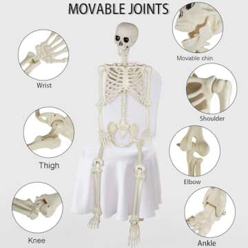 5.4ft Realistic Halloween Skeleton for Spooky Decor