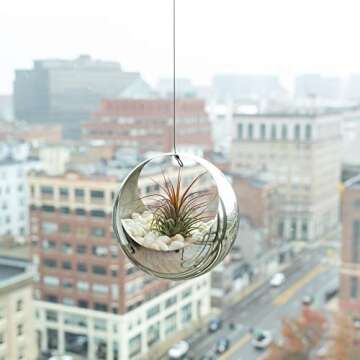 ATP MODERN Stainless Steel Hanging Planter - Contemporary Sphere Pot for Succulents & Air Plants - Minimalistic Design (Small, Polished Stainless)