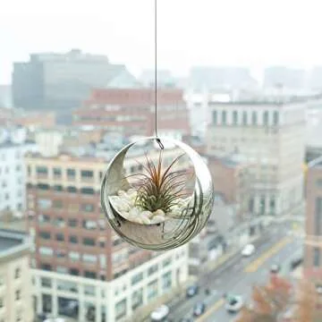 ATP MODERN Stainless Steel Hanging Planter - Contemporary Sphere Pot for Succulents & Air Plants - Minimalistic Design (Small, Polished Stainless)