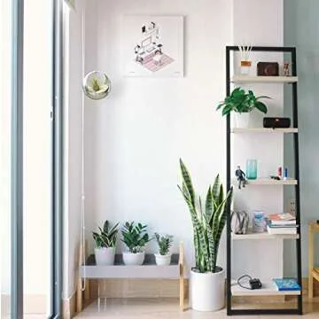 ATP MODERN Stainless Steel Hanging Planter - Contemporary Sphere Pot for Succulents & Air Plants - Minimalistic Design (Small, Polished Stainless)