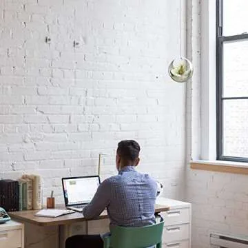 ATP MODERN Stainless Steel Hanging Planter - Contemporary Sphere Pot for Succulents & Air Plants - Minimalistic Design (Small, Polished Stainless)