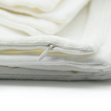 Elife 18x18 Winter Snowflake Throw Pillow Cover