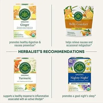 Organic Ginger with Chamomile Tea for Digestion Support