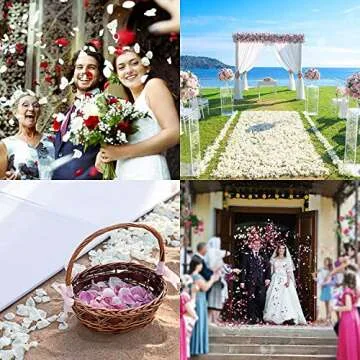 Ouddy Decor 3000 Pcs Rose Petals Artificial Flowers for Valentine's Day Wedding Decor Romantic Night Bridal Party Home Decorations, Ivory ﻿