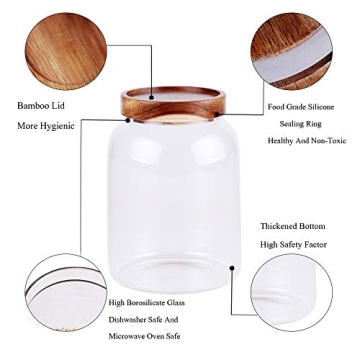 LEAVES AND TREES Y Glass Storage Jar - Airtight Kitchen Canister