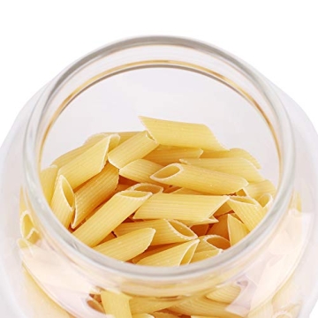 LEAVES AND TREES Y Glass Storage Jar - Airtight Kitchen Canister