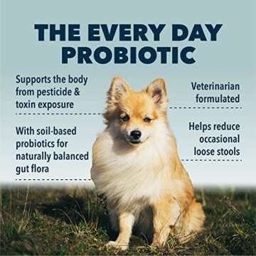 Four Leaf Rover Protect - Probiotics for Dogs - Veterinarian Formulated - with Natural Prebiotics and Antioxidants - Detoxification & Gut Health - 60 Day Large Dog Supply