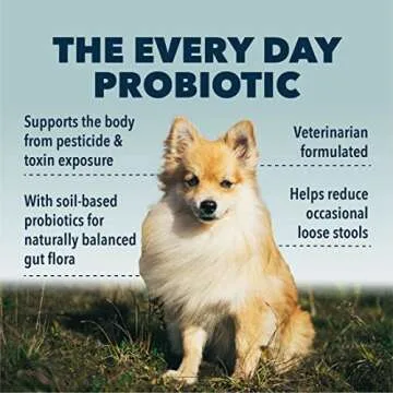 Four Leaf Rover Protect - Probiotics for Dogs - Veterinarian Formulated - with Natural Prebiotics and Antioxidants - Detoxification & Gut Health - 60 Day Large Dog Supply