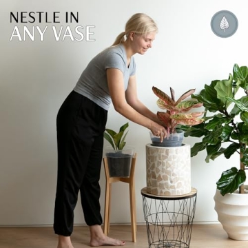 karenplantsplants™ 4", 6", 9" Clear Round Plastic Nursery Pots Variety Pack (5 Each Size)