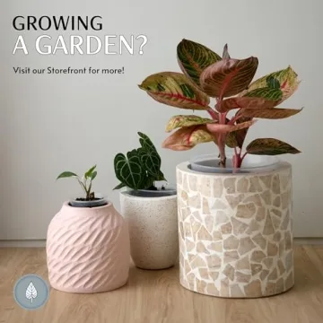 karenplantsplants™ 4", 6", 9" Clear Round Plastic Nursery Pots Variety Pack (5 Each Size)