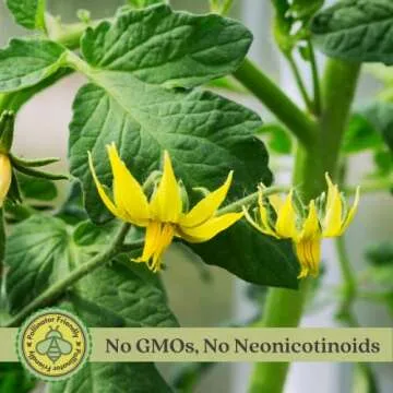 Clovers Garden Sweet 100 Tomato Plants - Two Live Plants