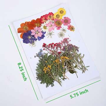 17 Types 48PCS Real Dried Pressed Flowers Leaf Plant Herbarium for DIY Resin Jewelry Making Floral D...
