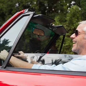 Car Visor Sunglasses Holder Clip - Stylish & Functional