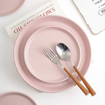 Stone Lain Albie Modern Dinnerware Set for 4, Pink