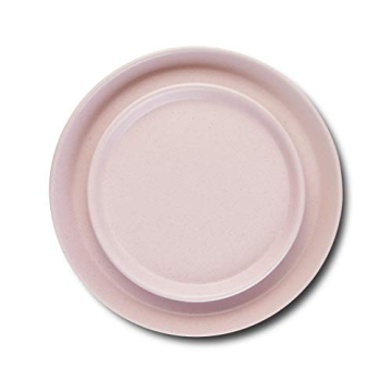 Stone Lain Albie Modern Dinnerware Set for 4, Pink