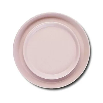 Stone Lain Albie Modern Dinnerware Set for 4, Pink