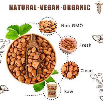 Mighty Apricot USDA Organic Bitter Apricot Kernels(1LB) 16oz, Natural Raw Bitter Apricot Seeds, Vegan, Non-GMO, Gluten Free, Great source of Vitamin B17 and B15, Maximum 3 Kernels/day