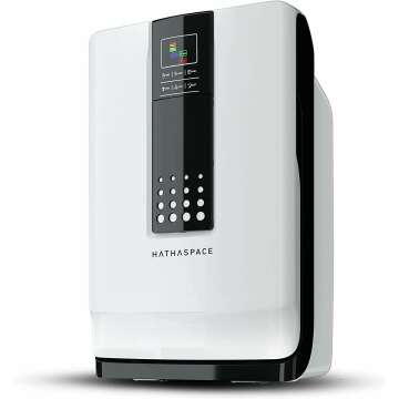 HATHASPACE HSP001 Smart Air Purifier Review