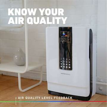 HATHASPACE HSP001 Smart Air Purifier Review