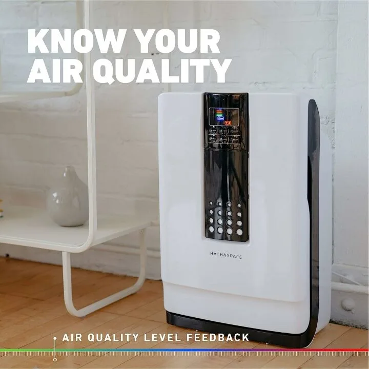 HATHASPACE HSP001 Smart Air Purifier Review