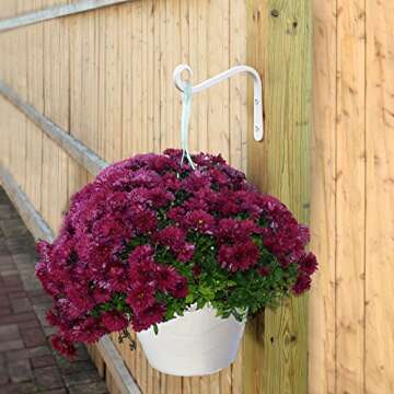 Hand Forged Wall Mounted Hook, 2-Pack, 6 Inch Curved White For Bird Feeders & Houses Planters Lanterns Wind Chimes Hanging Baskets Ornaments String Lights, As Wall Brackets & More!