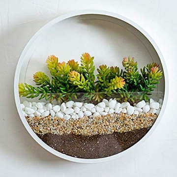 SHE'S HOME Round Glass Wall Planter for Indoor Decor