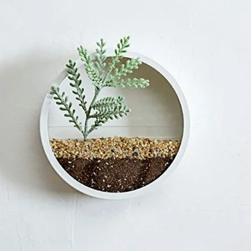 SHE'S HOME Round Glass Wall Planter for Indoor Decor