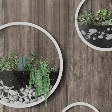 SHE'S HOME Round Glass Wall Planter for Indoor Decor
