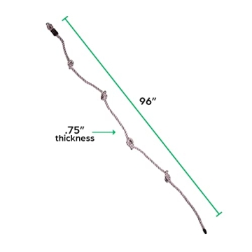 Vibrant Rock Climbing Holds Kit for Kids - Create Adventure