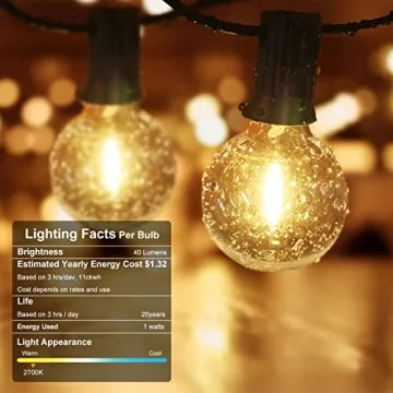 100FT Outdoor String Lights with Dimmable LED Bulbs