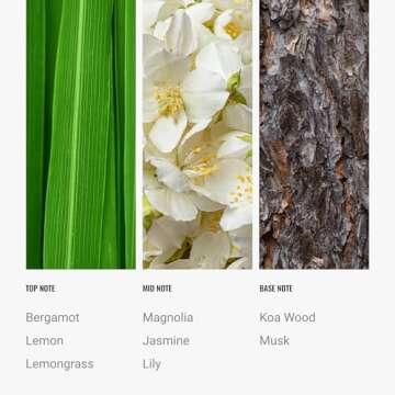 Hotel Collection Diffuser Oil-24K Magic-Aromatherapy Essential Fragrance Oil-Italian Bergamot, Lemongrass & Sweet Laurel Leaf-120ML 4.1 Fl oz