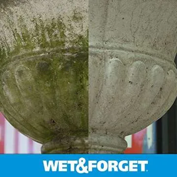 Wet & Forget Outdoor Cleaner for Moss & Mold Removal