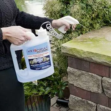Wet & Forget Outdoor Cleaner for Moss & Mold Removal