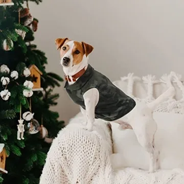 Ultimate Cozy Winter Dog Sweater Set for Stylish Pets